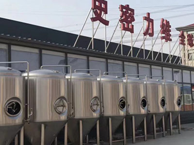昌洒镇精酿啤酒设备厂—如何判断精酿啤酒设备的密封件需要更换？
